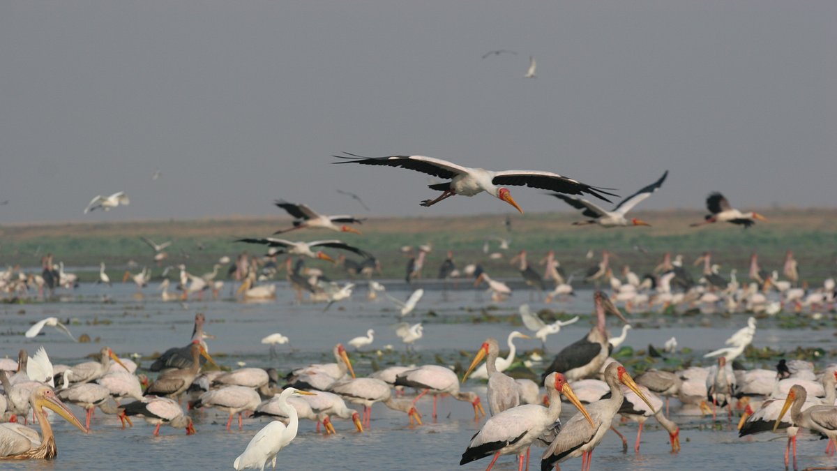 afrikas verlorenes paradies