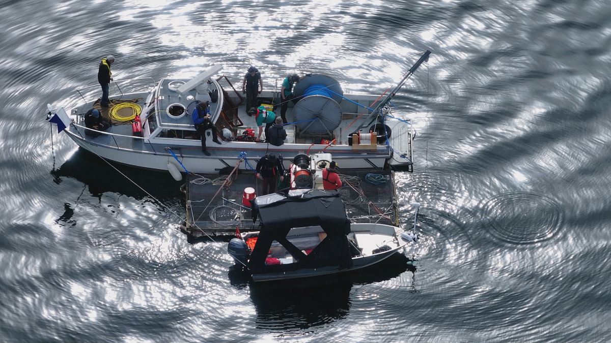 geheimnisvoller bodensee - auf der jagd nach schiffen und schätzen