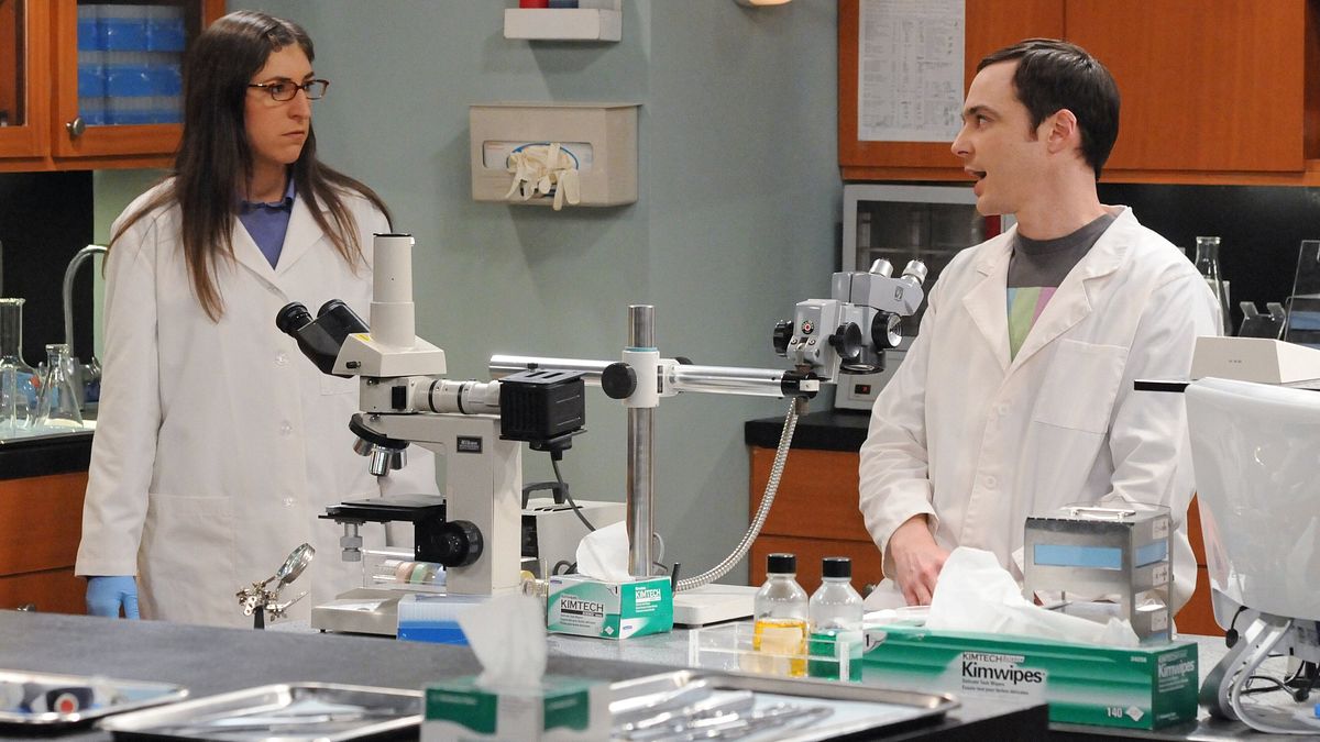 the big bang theory