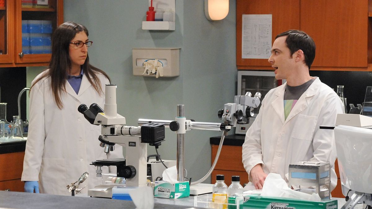 the big bang theory