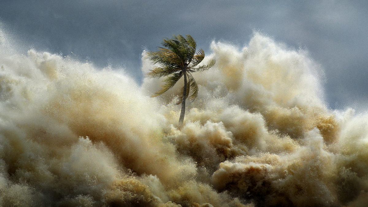 Tsunami: Wettlauf gegen die Zeit Tsunami: Wettlauf gegen die Zeit
