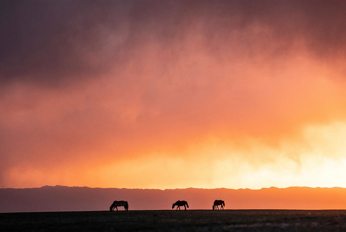 biwak - abenteuer mongolei