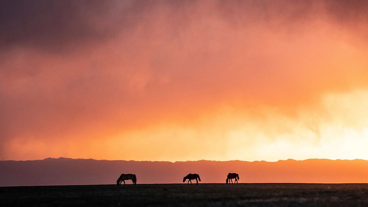 biwak - abenteuer mongolei