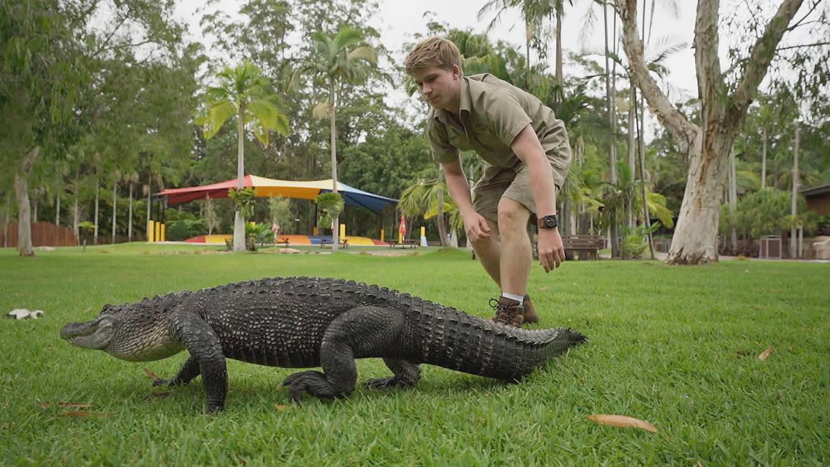 die irwins - crocodile hunter family