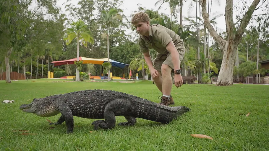 die irwins - crocodile hunter family