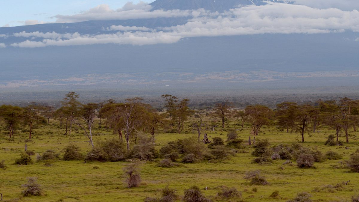 afrika von oben