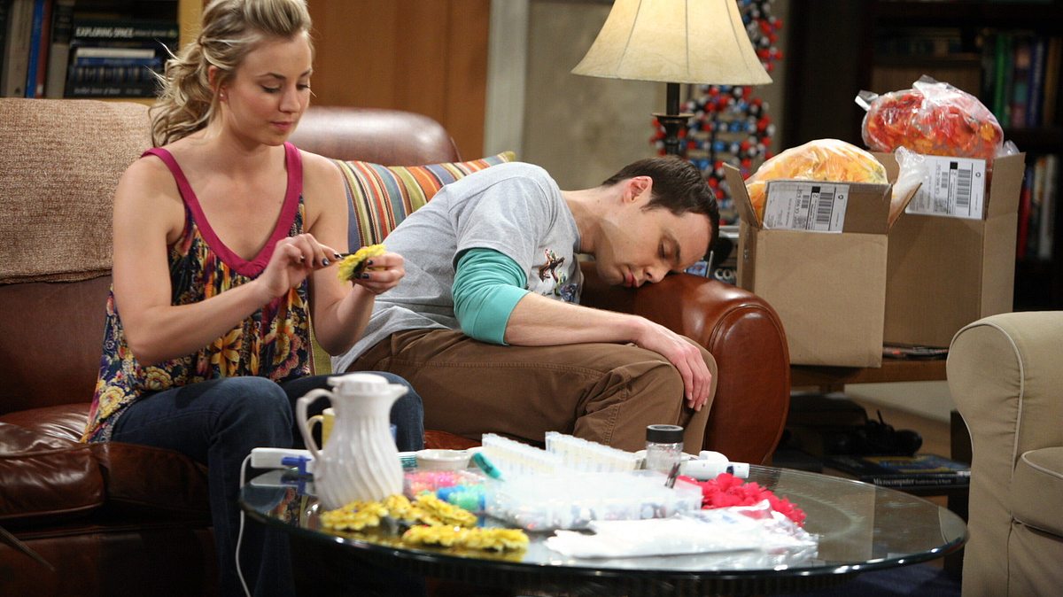 the big bang theory