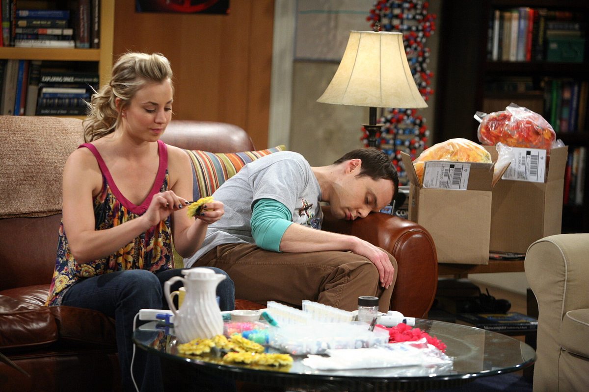 the big bang theory