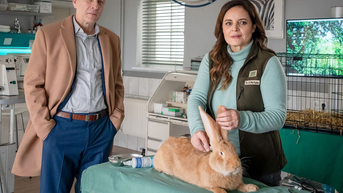 tierärztin dr. mertens