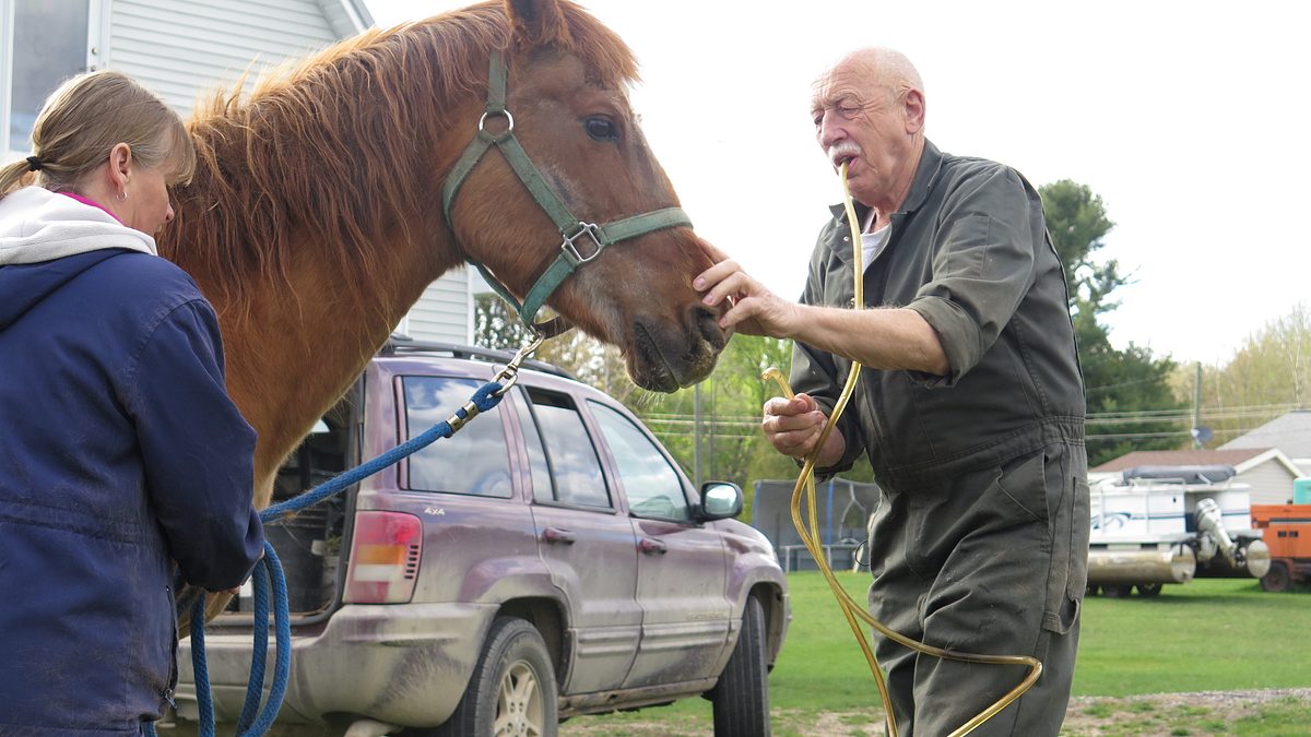 der unglaubliche dr. pol