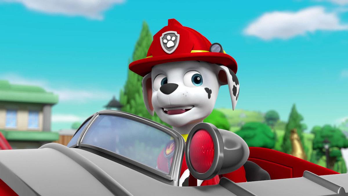paw patrol - helfer auf vier pfoten