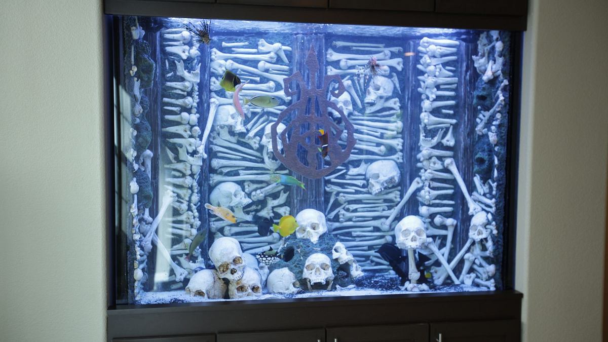 die aquarium-profis
