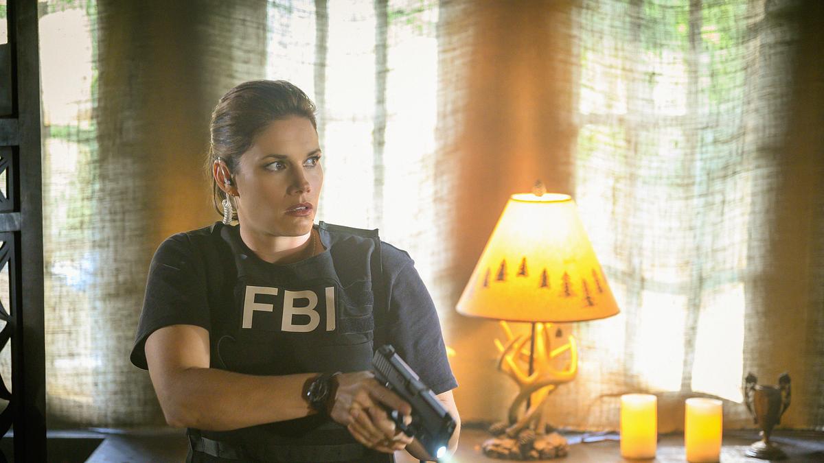fbi: special crime unit