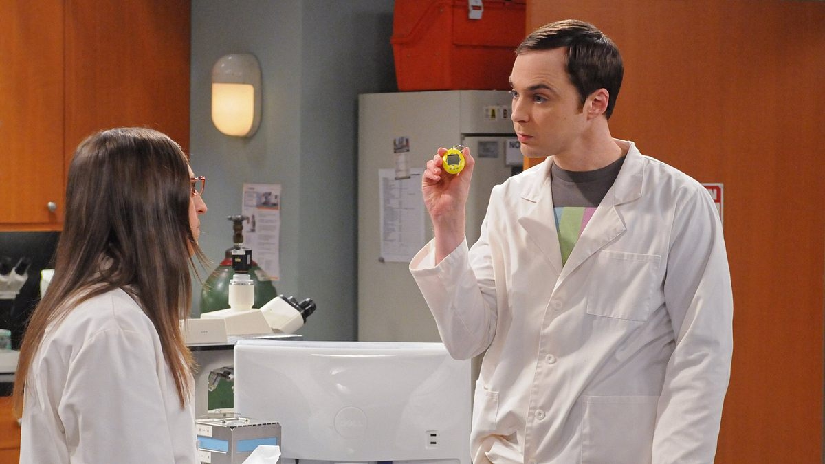 the big bang theory