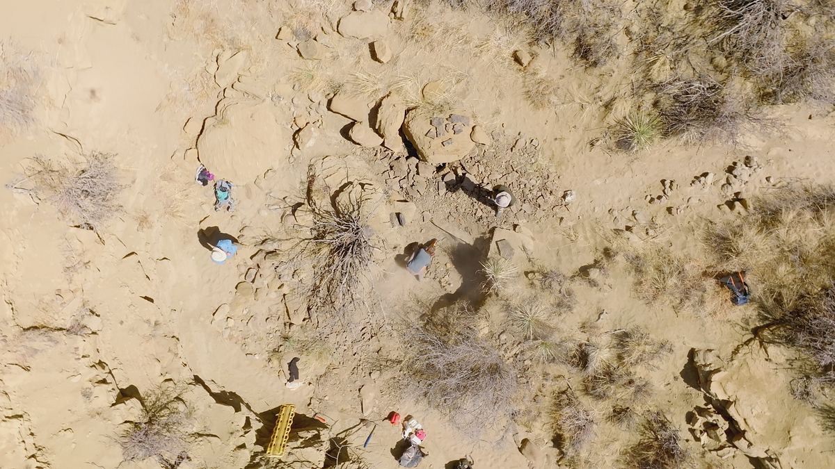 Asteroid - Der Dino-Killer aus dem All asteroid - der dino-killer aus dem all