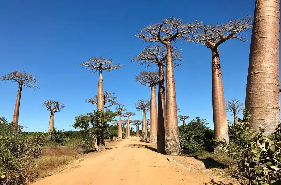 Unbekanntes Madagaskar unbekanntes madagaskar