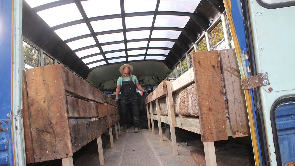 Home Rescue - Wohnen in der Wildnis home rescue - wohnen in der wildnis