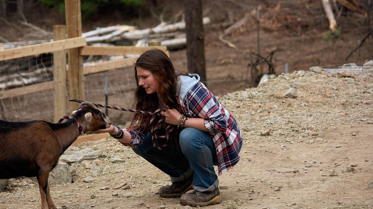 alaskan bush people