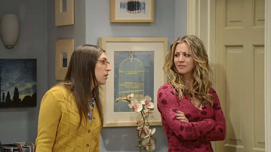 The Big Bang Theory the big bang theory