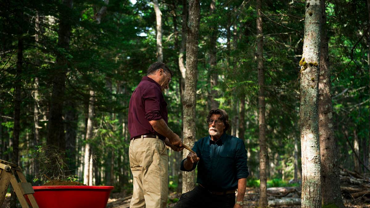 oak island - fluch und legende
