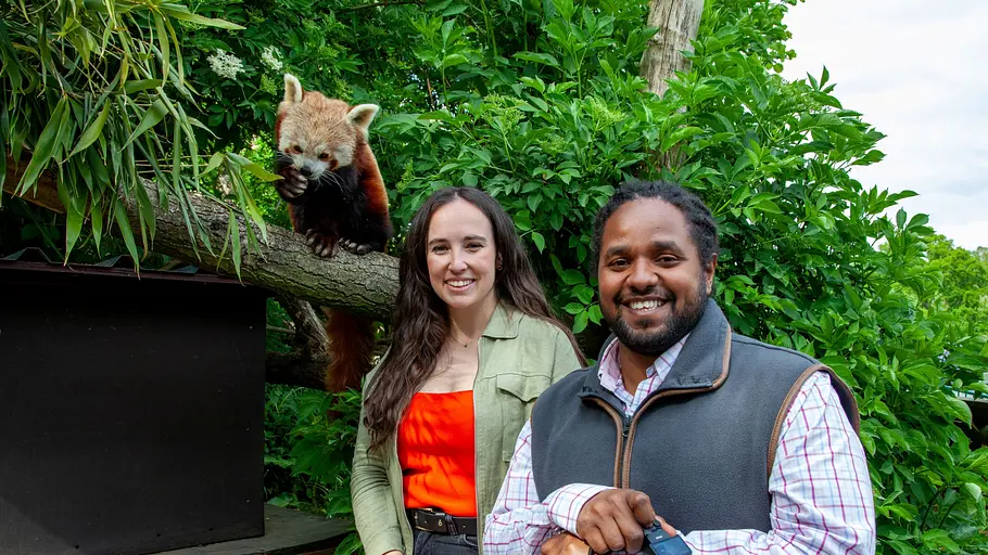 animal park: zoo-geschichten aus longleat
