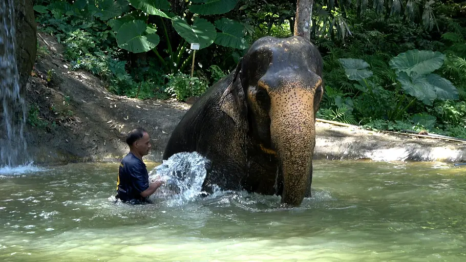 phuket & co. - thailands sonnige inselwelten