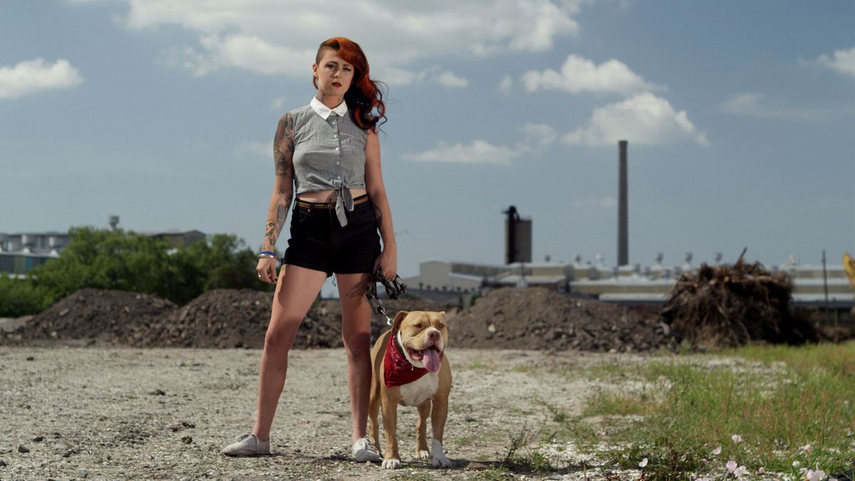 Pitbulls auf Bewährung pitbulls auf bewährung
