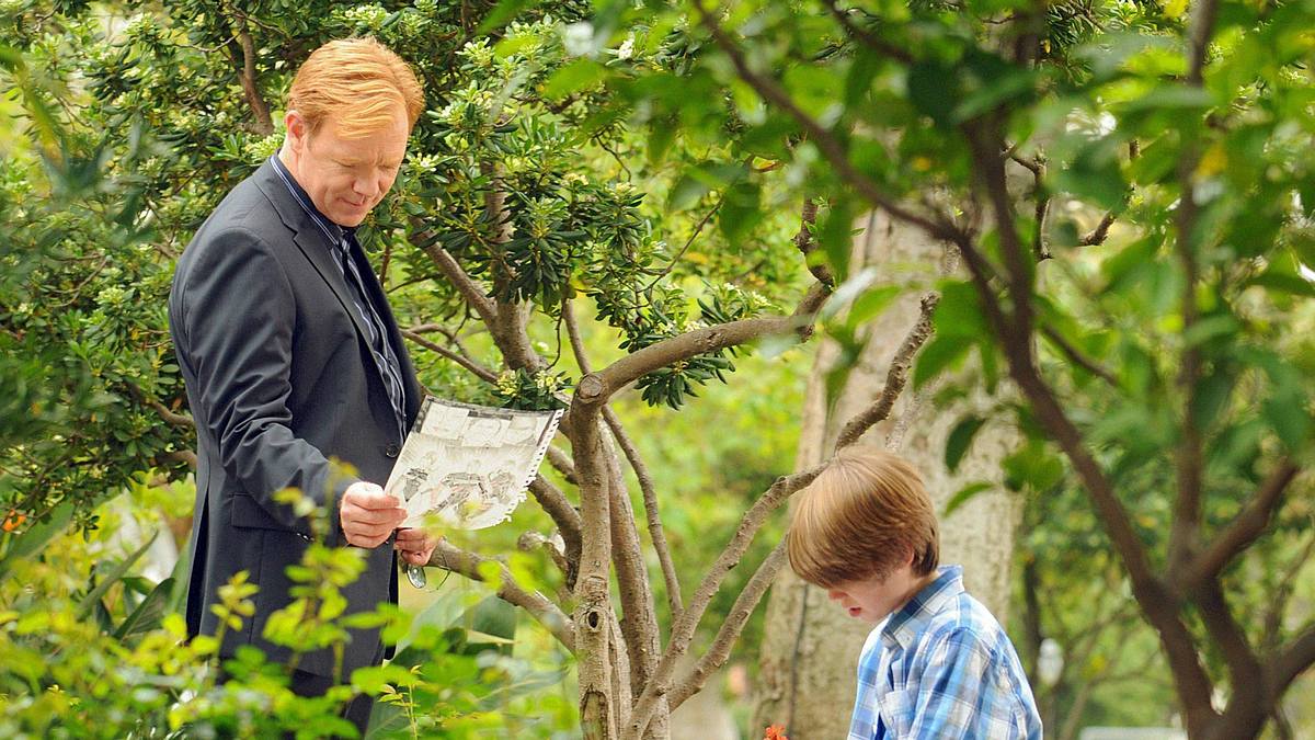 csi: miami