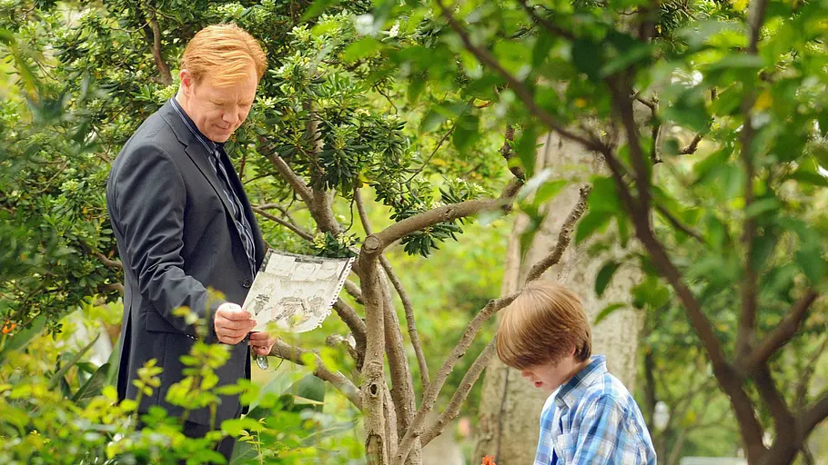 csi: miami