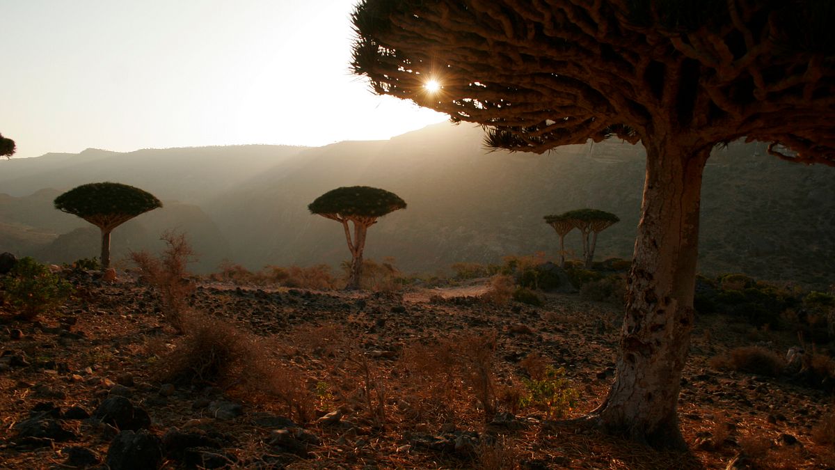 planet weltweit