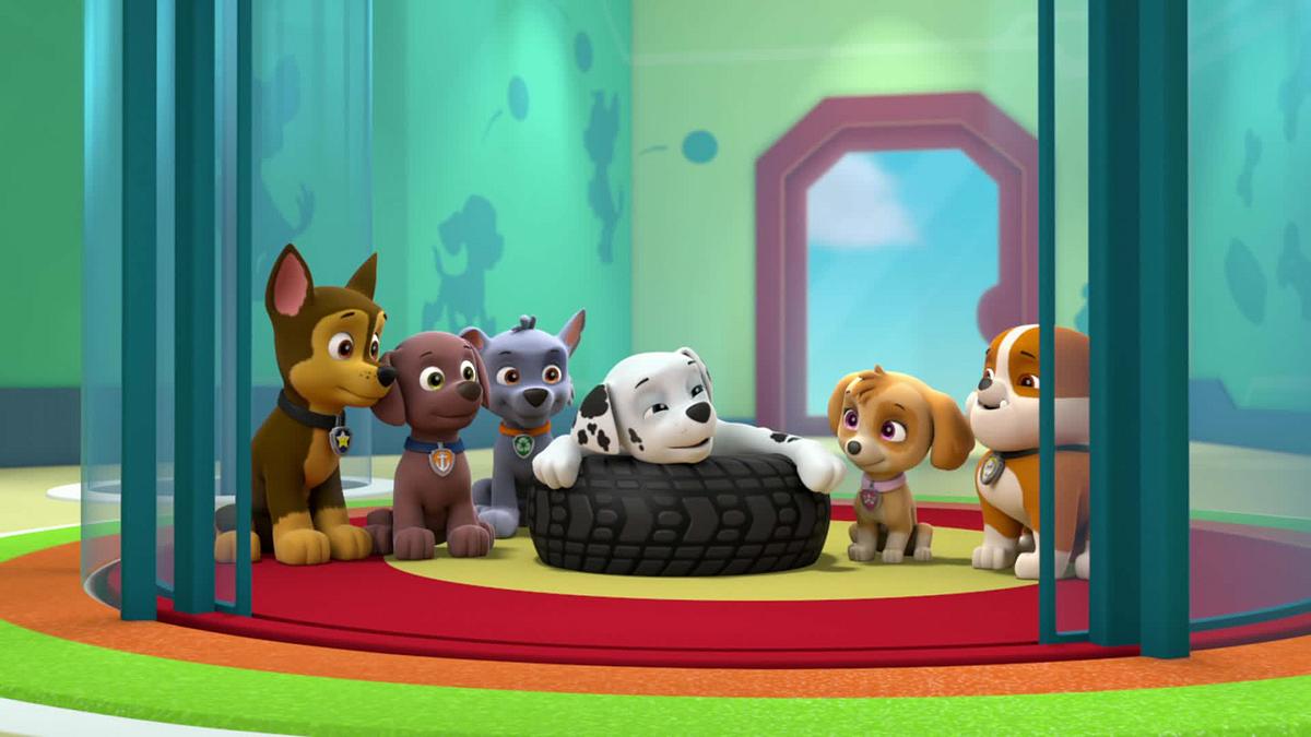 paw patrol - helfer auf vier pfoten