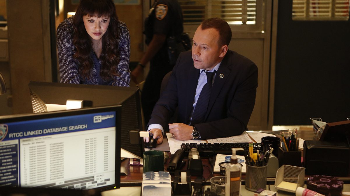 blue bloods - crime scene new york