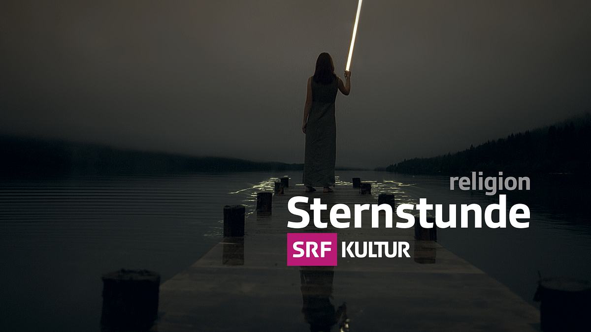 die ungehorsamen