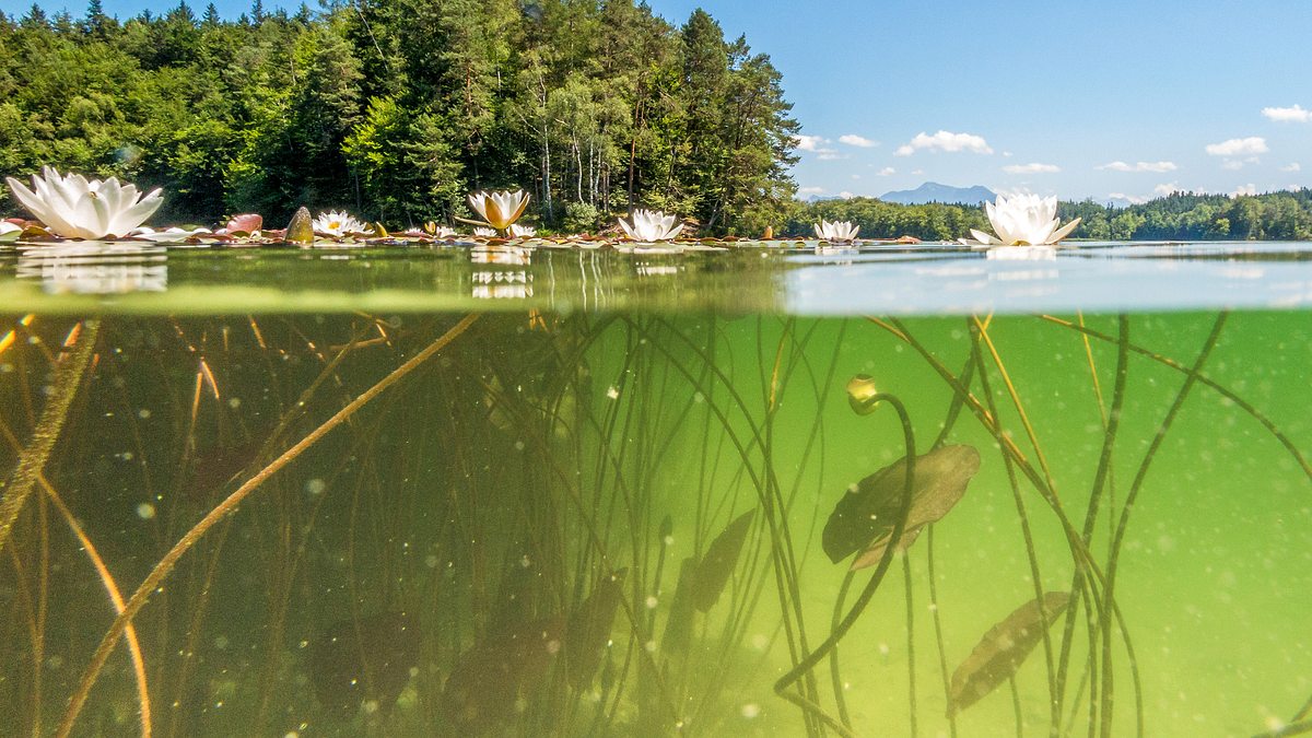 eintauchen ins tiefe blau - unsere seen im norden