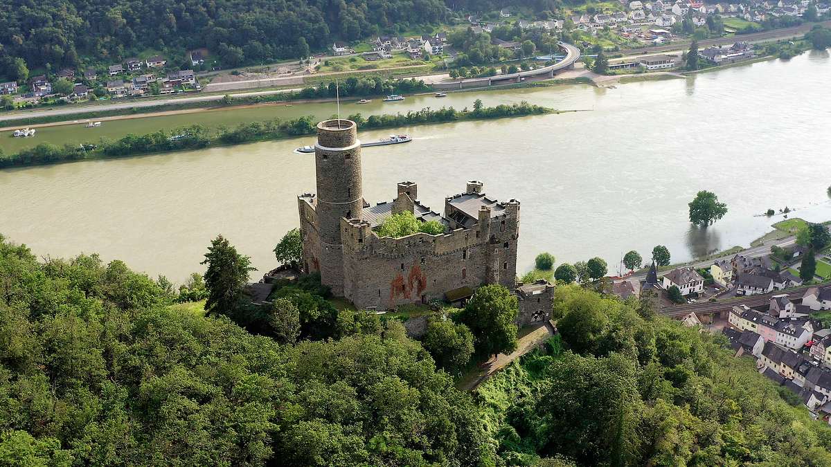 tierische burgherren - das wilde mittelrheintal
