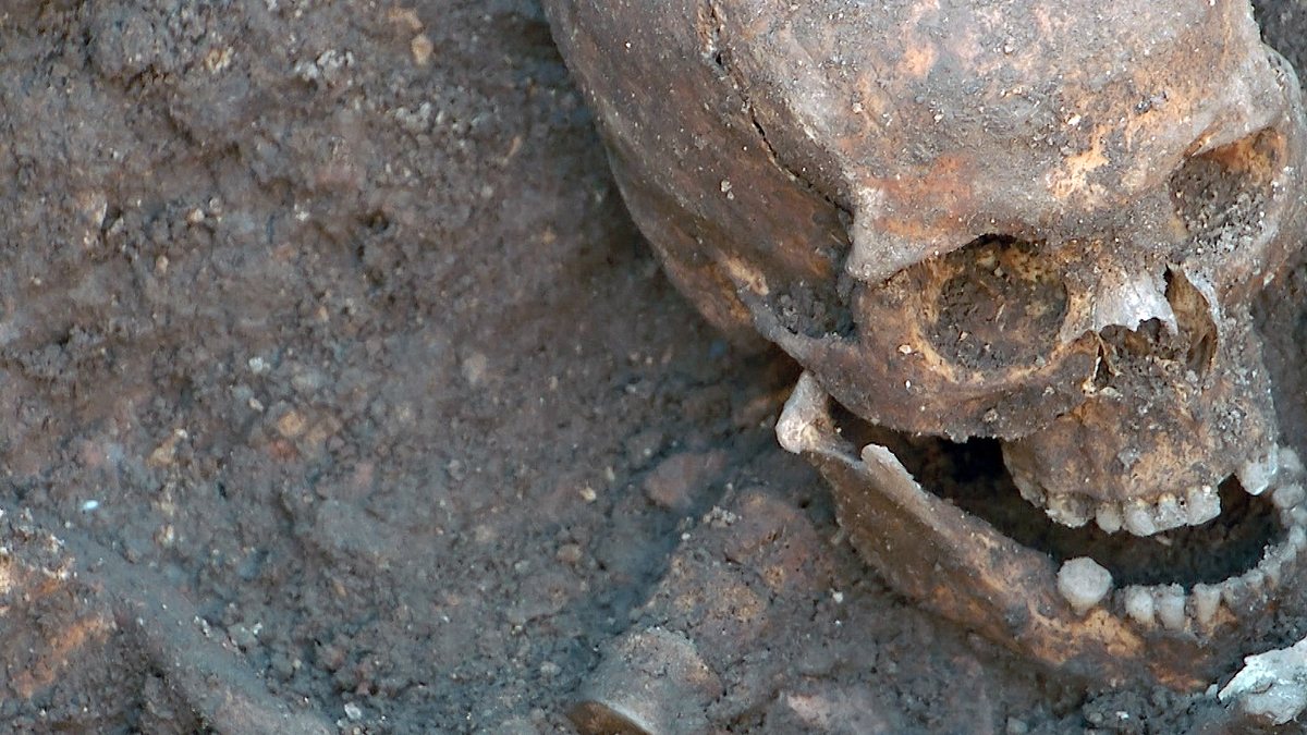 mord im tower: das geheimnis der verschwundenen prinzen