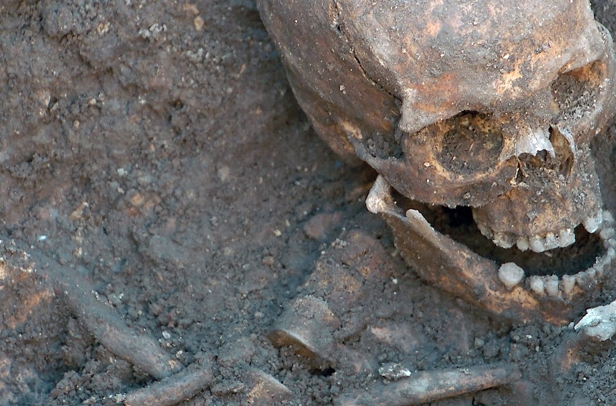 Mord im Tower: Das Geheimnis der verschwundenen Prinzen mord im tower: das geheimnis der verschwundenen prinzen