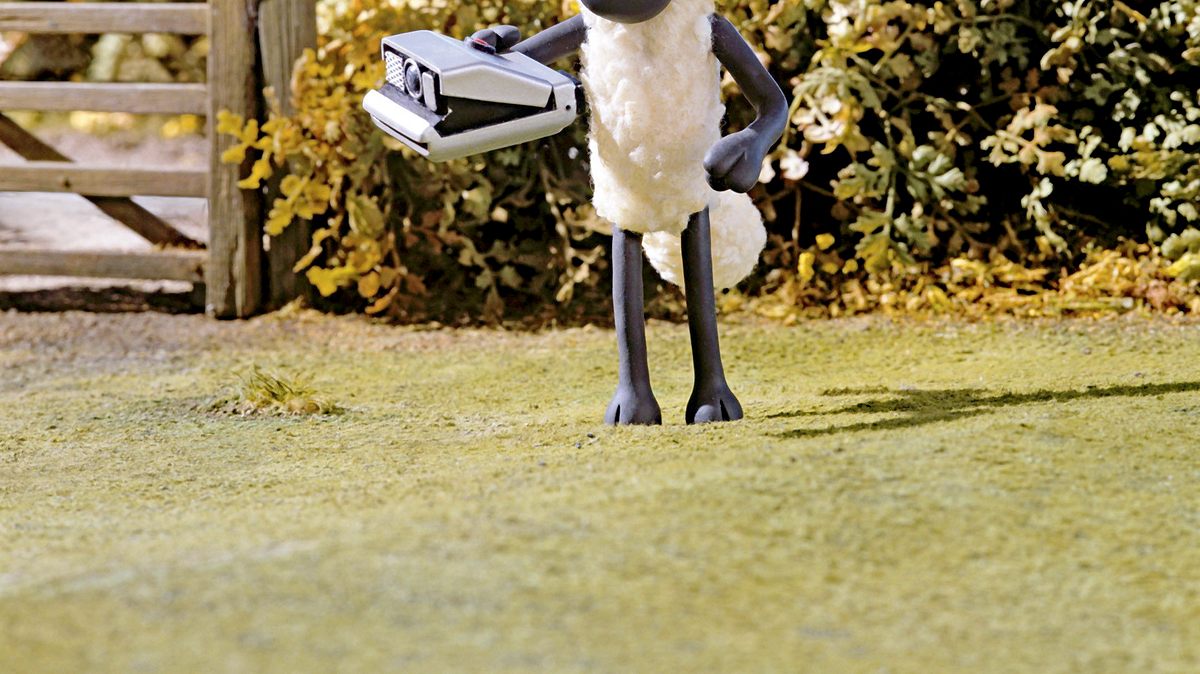 shaun das schaf