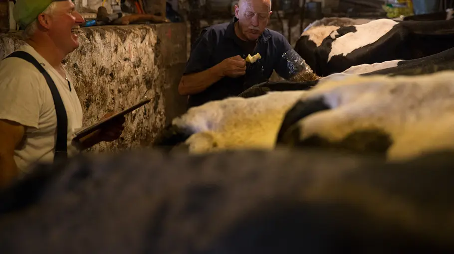 Der unglaubliche Dr. Pol der unglaubliche dr. pol