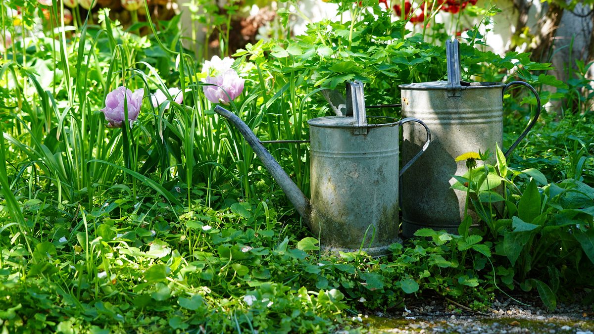 natur im garten