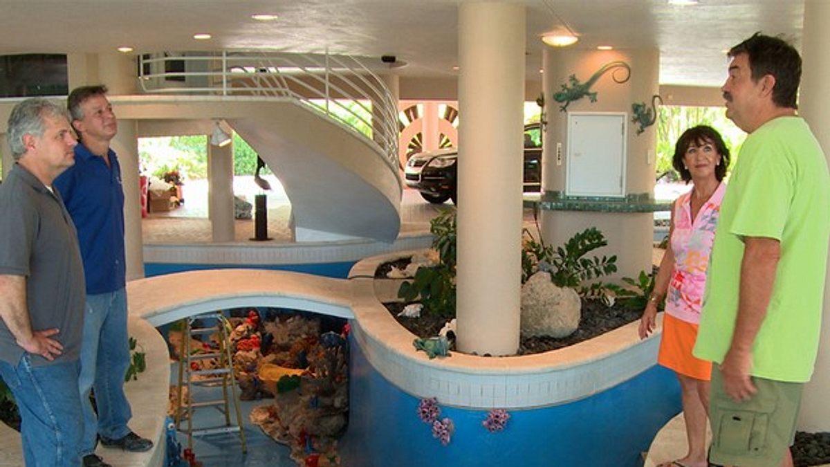 fish tank kings - gigantische wasserwelten
