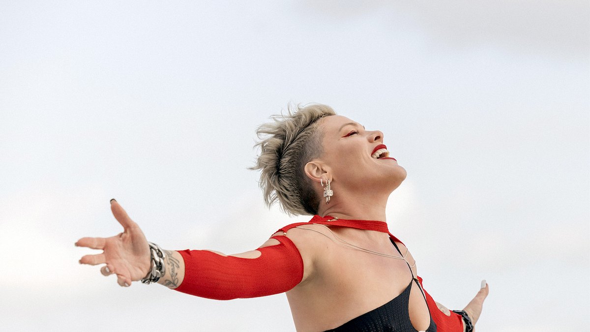 p!nk - mein leben in songs