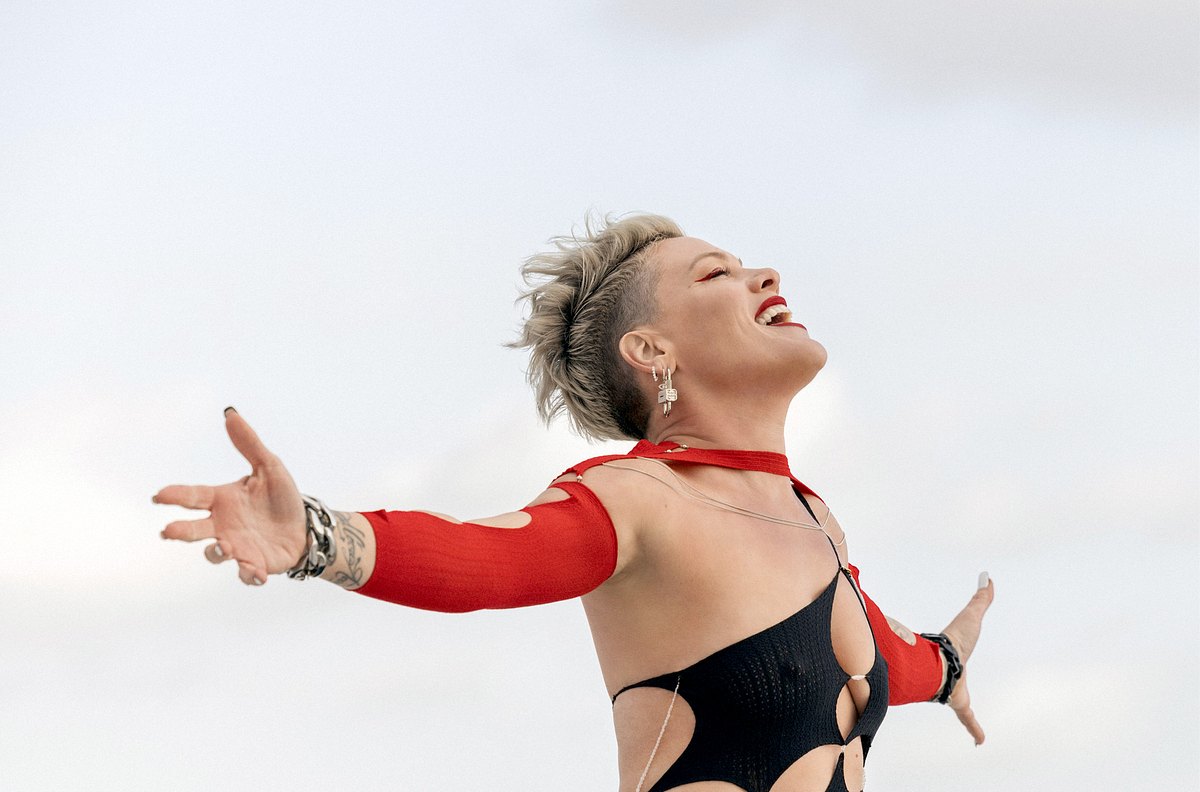 P!NK - Mein Leben in Songs p!nk - mein leben in songs