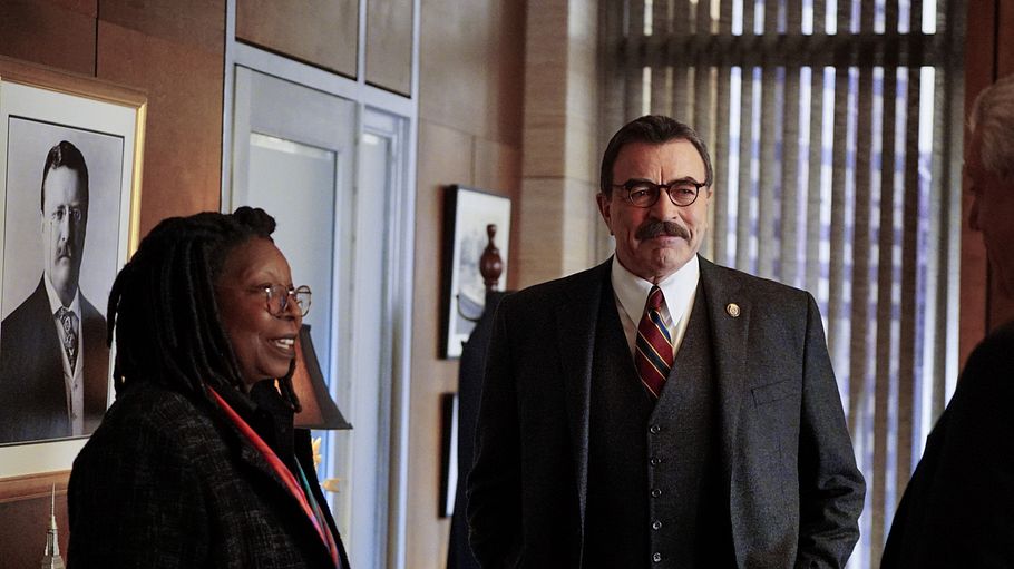 blue bloods - crime scene new york