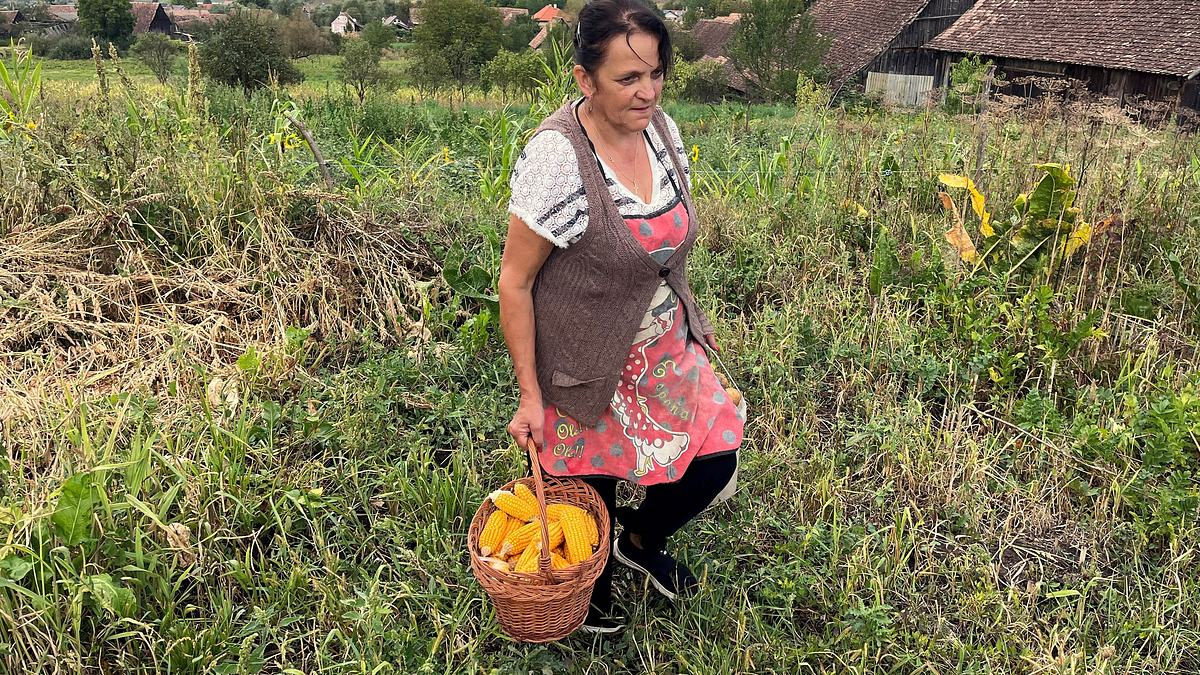 wildes rumänien - via transilvanica: siebenbürgen bis zur donau