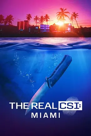The Real CSI: Miami - Foto: TMDB