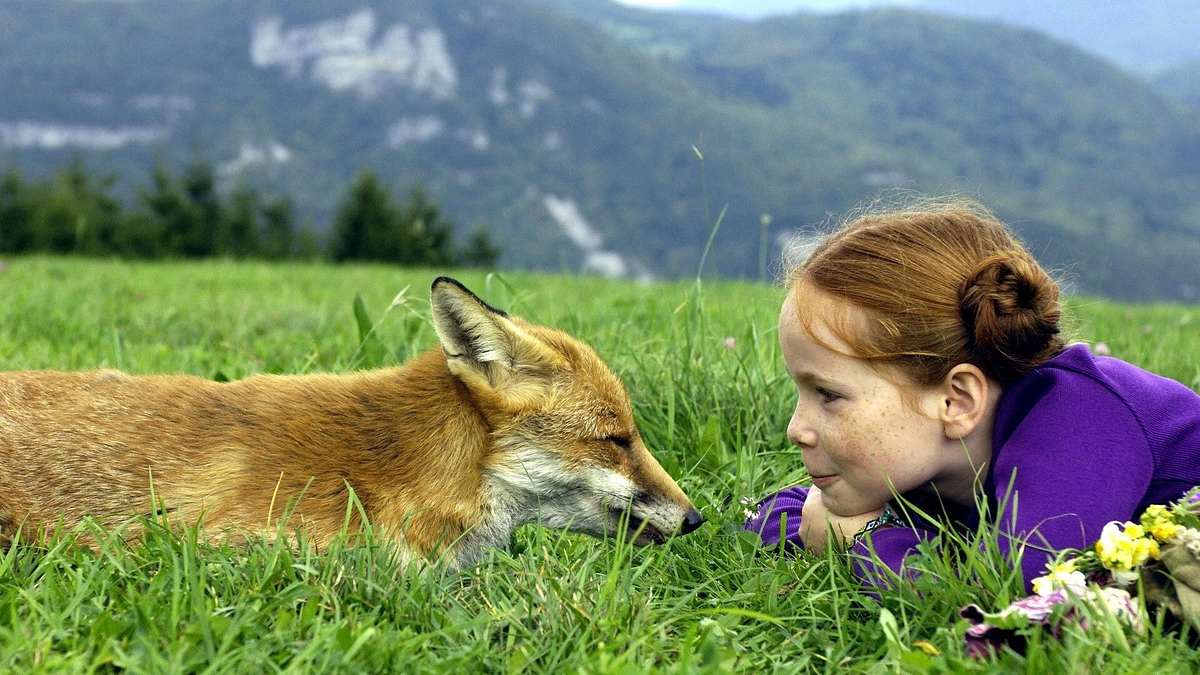 Der Fuchs und das Mädchen Der Fuchs und das Mädchen