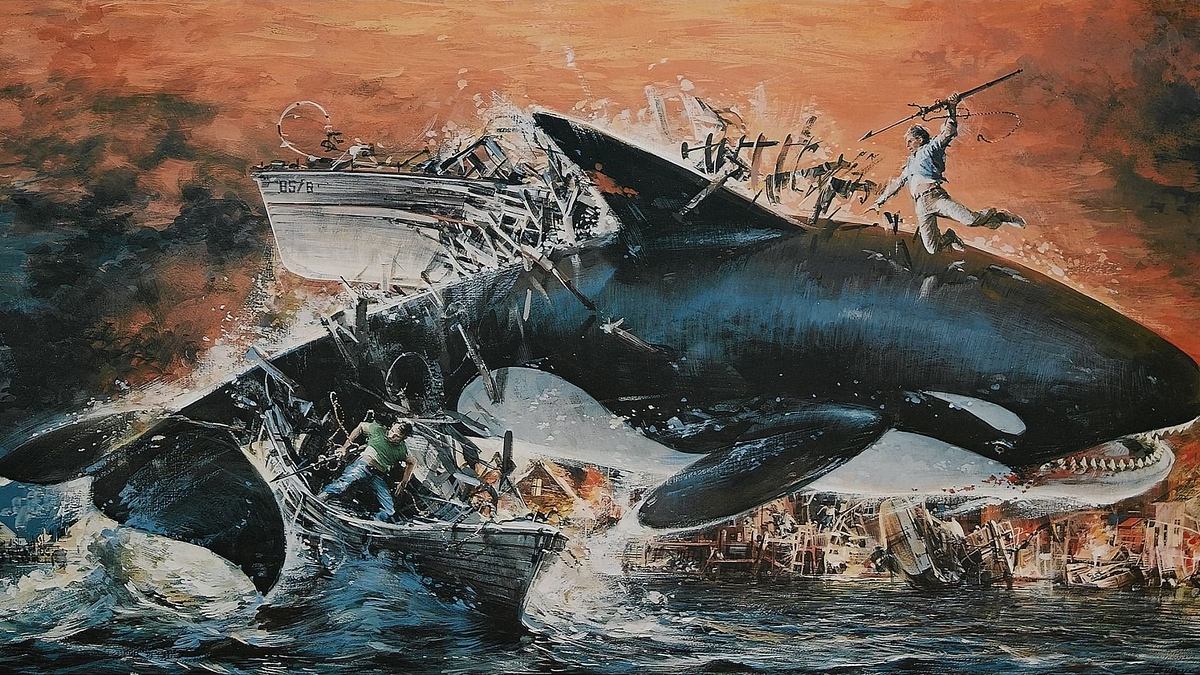 Orca - Der Killerwal Orca - Der Killerwal