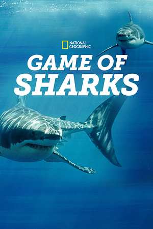 Game of Sharks - Foto: TMDB