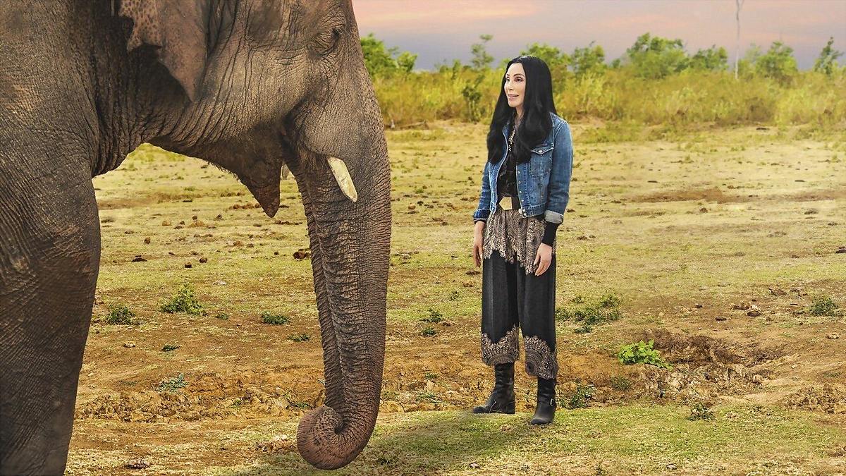 Cher und der Elefant